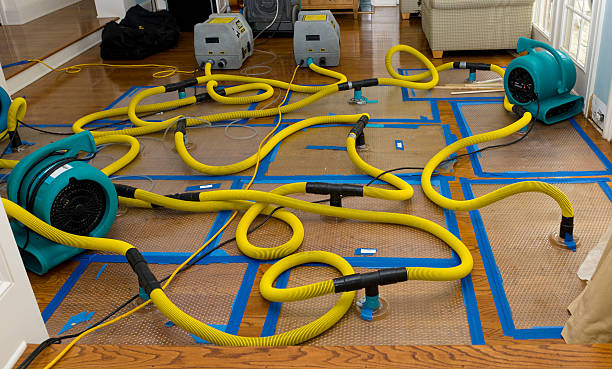 Professional Burst Pipe Water Damage technician working in Antwerp, OH